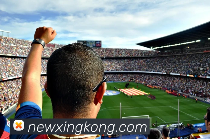 App Interface Preview