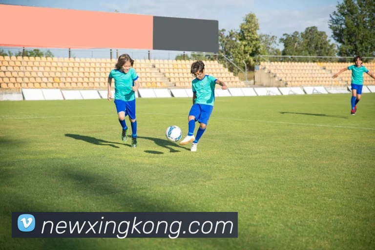 星空体育APP 封面图